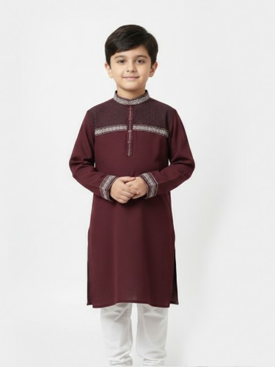 Exclusiv Embroidery Panjabi-2